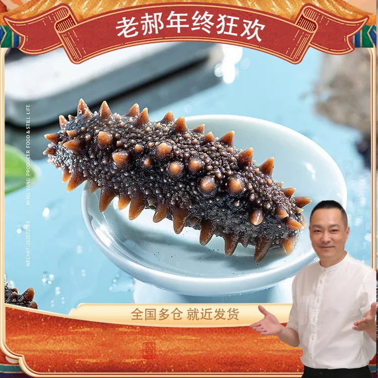 【粉丝专享】鲜食海参营养滋补到手3斤