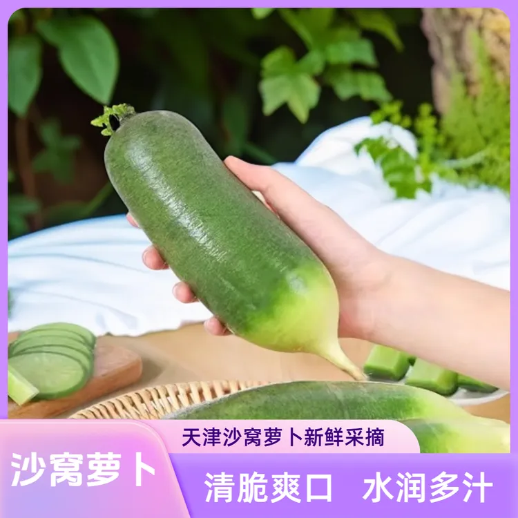 【天星二号】天津沙窝萝卜水果萝卜脆甜多汁爽脆生津京东