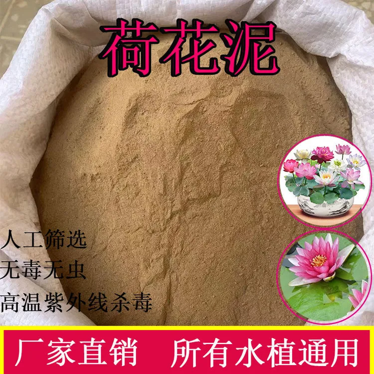 荷塘泥水培植睡莲藕苗专用营养土河塘泥乌龟冬眠荷花碗莲子铜钱草
