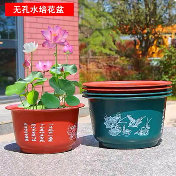塑料无孔荷花盆加厚仿陶瓷碗莲藕花盆荷花水培绿植睡莲大号专用盆