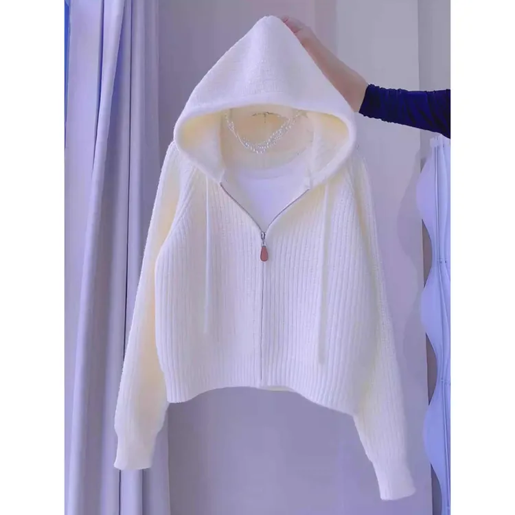 2025秋季新款女小众别致宽松慵懒风小个子连帽卫衣针织开衫上衣女