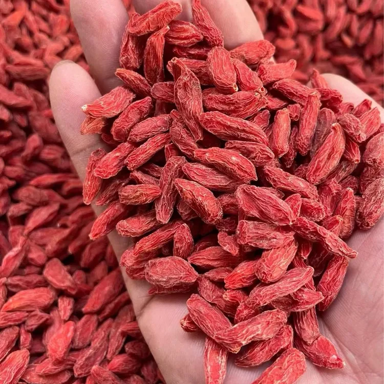 宁夏红枸杞500g（适合泡水泡酒）枸杞苟构子干泡茶男肾男士