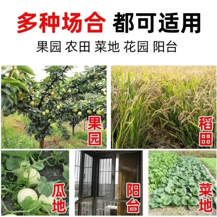 果树防鸟网单丝鱼丝材质户外活动用品养殖防护网围鸡鸭网鱼塘养殖