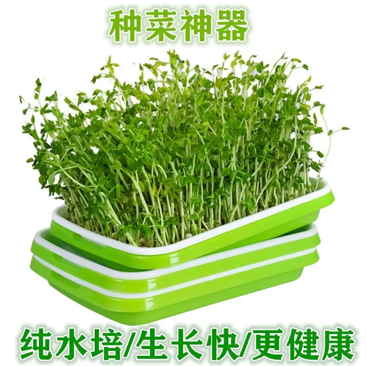 【育苗盘】阳台芽苗菜种植盘加密花盆豆苗盘无土栽培水培发芽盆