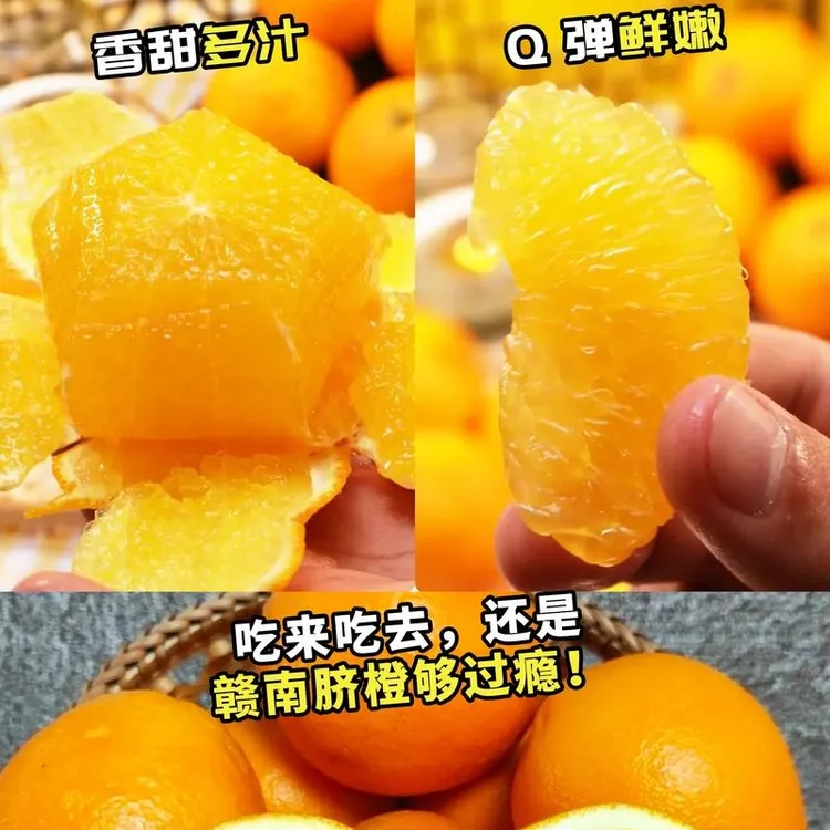 （新鲜现摘）江西正宗赣南脐橙当季水果新鲜橙子现摘现发包邮