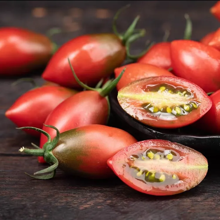 漳州紫弹头子弹头圣女果小番茄圣女果水果酸甜多汁