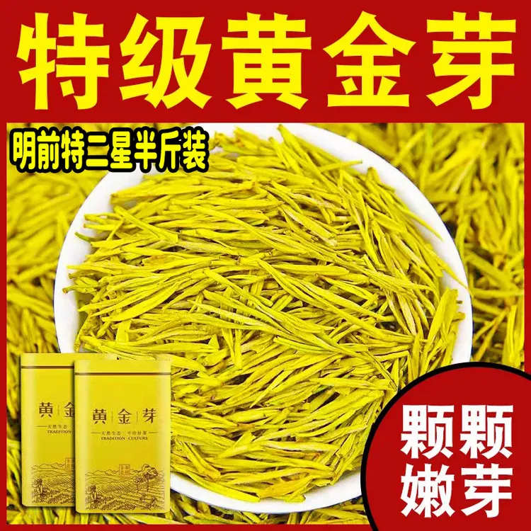 2025新茶明前黄金芽【特二星半斤装】高山绿茶浓香型茶叶黄金叶茶叶