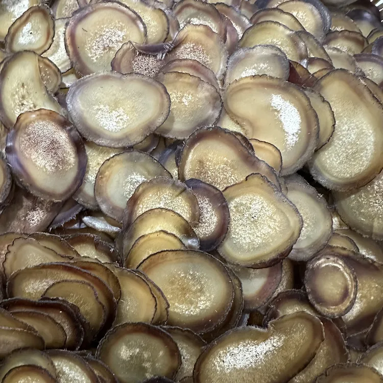 鹿茸特级半腊片 煲汤泡酒泡水炖鸡汤炖骨头汤东北特产