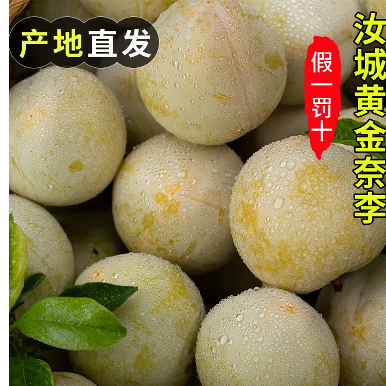 正宗黄金奈李湖南汝城产地直发脆甜多汁蜂糖非九峰山3/5斤包邮