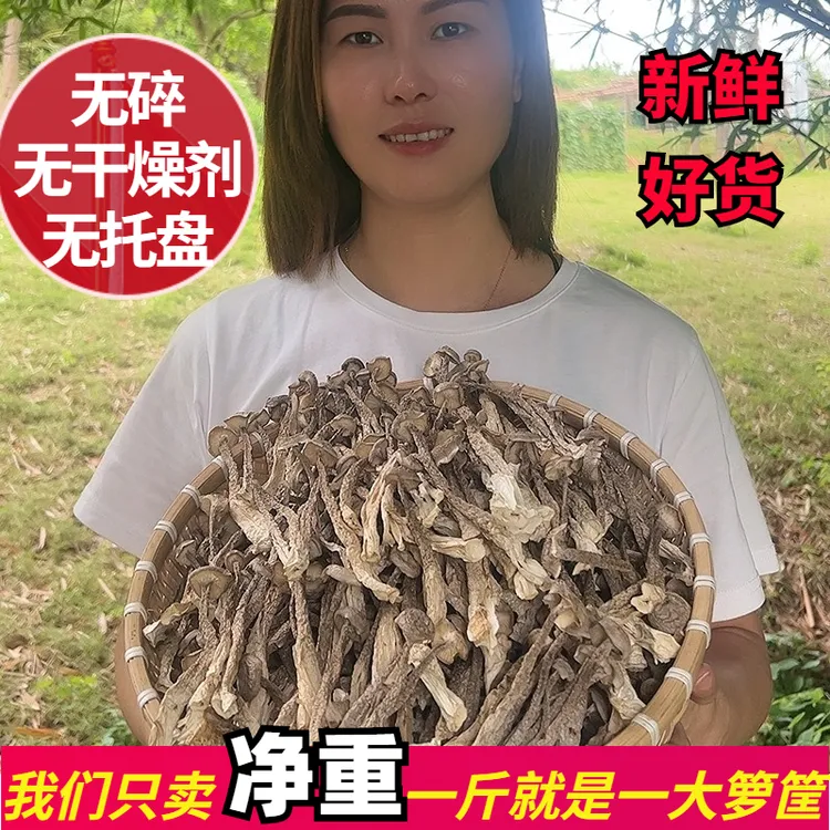 【精选】脆嫩鹿茸菇干货脆脆菇鹿茸菌菇香菇煲汤营养食用香味浓郁
