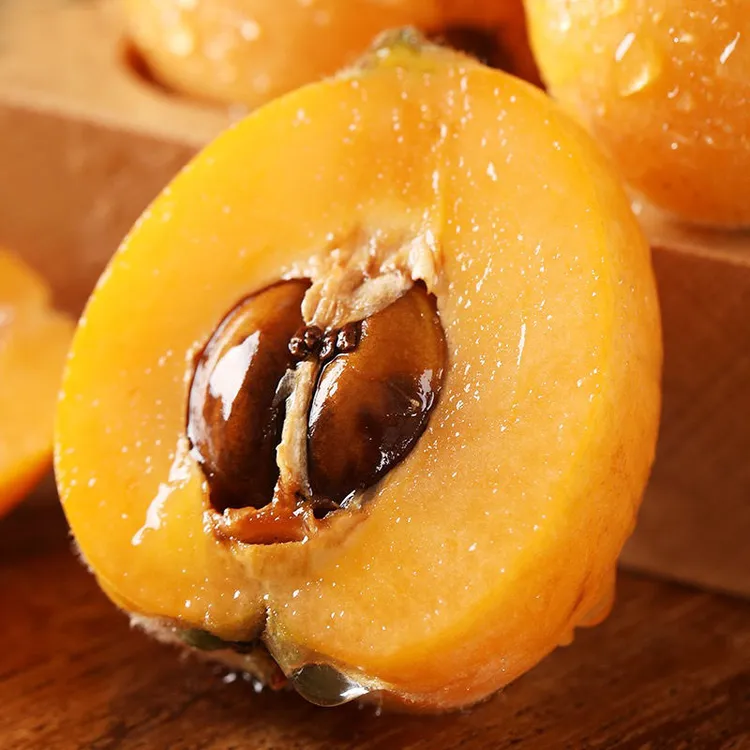 顺丰包邮 5斤米易枇杷正宗四川大五星枇杷新鲜琵琶应季水果多汁