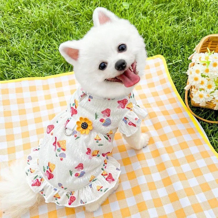 宠物可牵引外出蘑菇爱心夏季透气连衣裙子狗狗猫咪用品泰迪英短