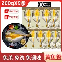 【6+3到手9条】宁德霞浦黄鱼鲞咸香大黄鱼黄花鱼新鲜免杀免洗免调味
