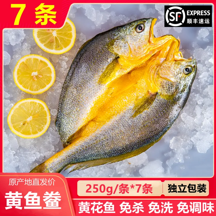 【发7条 250g/条】 宁德霞浦黄鱼鲞 每条250g 黄花鱼大黄鱼新鲜冷冻