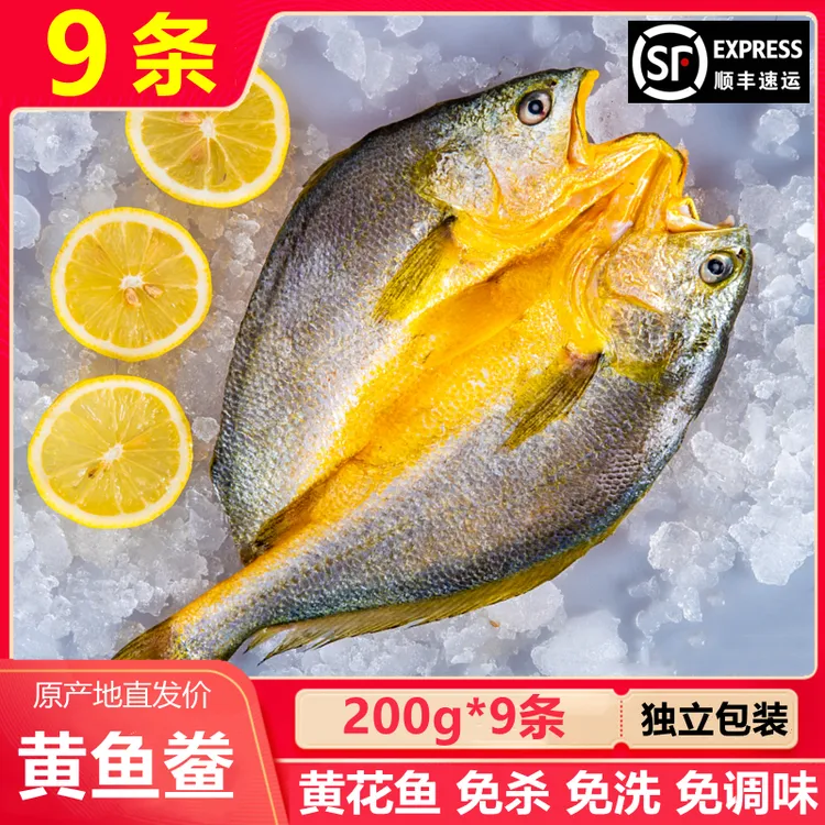 【买6送3 到手9条】宁德霞浦黄鱼鲞 黄花鱼新鲜冷冻 免杀免洗免调味
