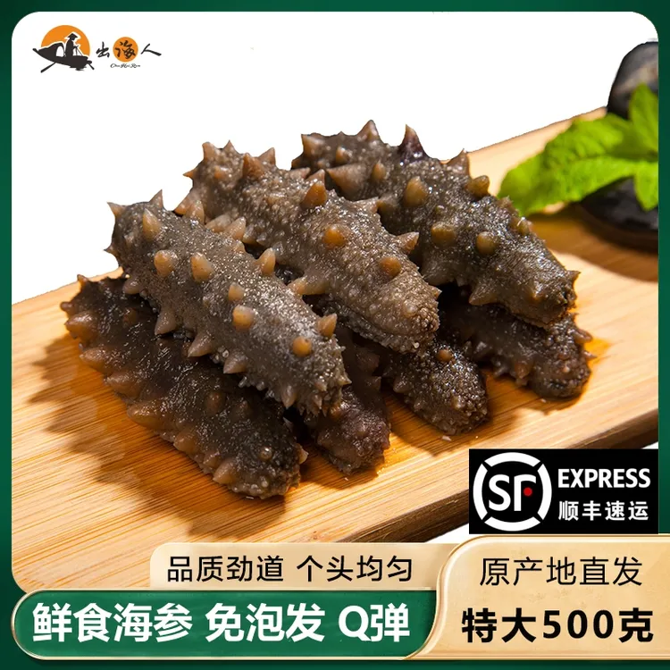 出海人 海参 6-20头500g/包 霞浦鲜食海参 免泡发口感Q弹国产刺参