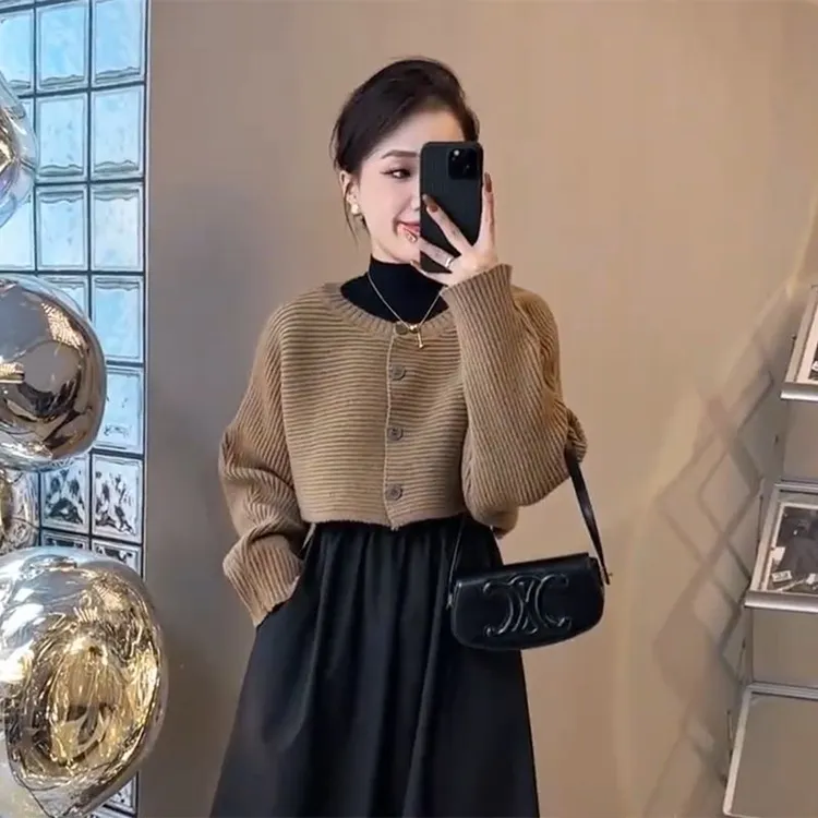 秋冬套装女2025新款设计感法式针织开衫收腰显瘦百搭连衣裙两件套