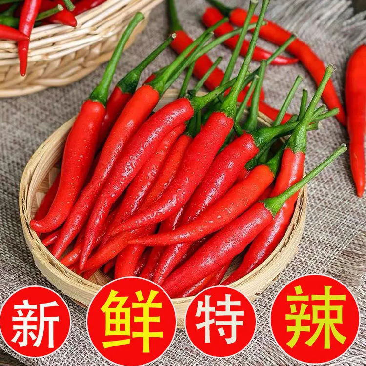 新鲜现摘辣椒新鲜特辣小米辣指天椒朝天椒小尖椒现摘现发红辣椒