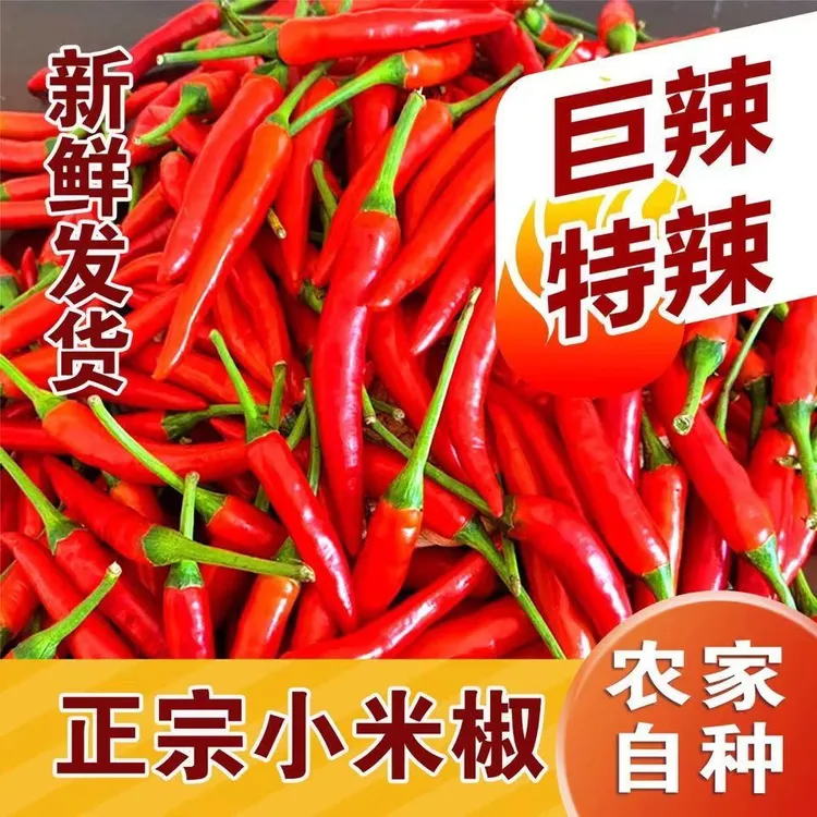 【云南小米辣】云南露天小米辣新鲜现摘现发产地发货250克/9斤净重