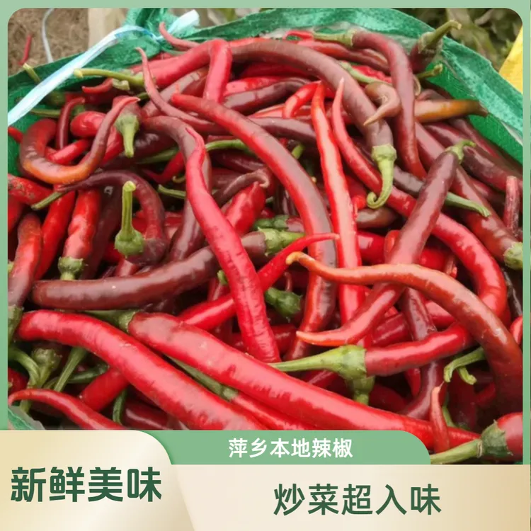 【顺丰】老品种萍乡麻山 本地辣椒 红辣椒 自然红  炒肉特香