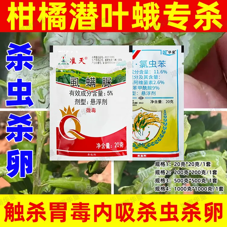 潜叶蛾专用杀虫方案虱螨脲杀卵柑橘果树锈壁虱潜叶蛾强力杀虫剂
