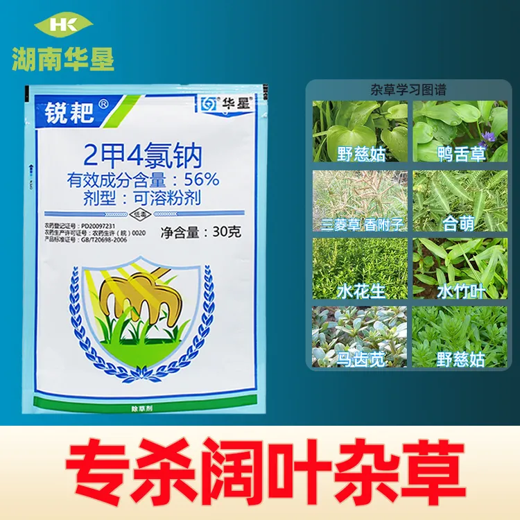 锐耙二甲四氯钠2甲4氯钠除草剂水稻小麦园林草坪阔叶杂草专用农药