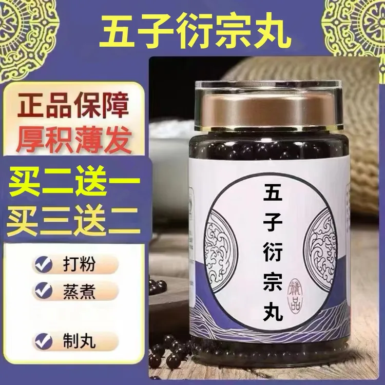 250g/罐 约1500丸 五子衍宗丸 买2送1买3送2 倪师 根茎类农产品