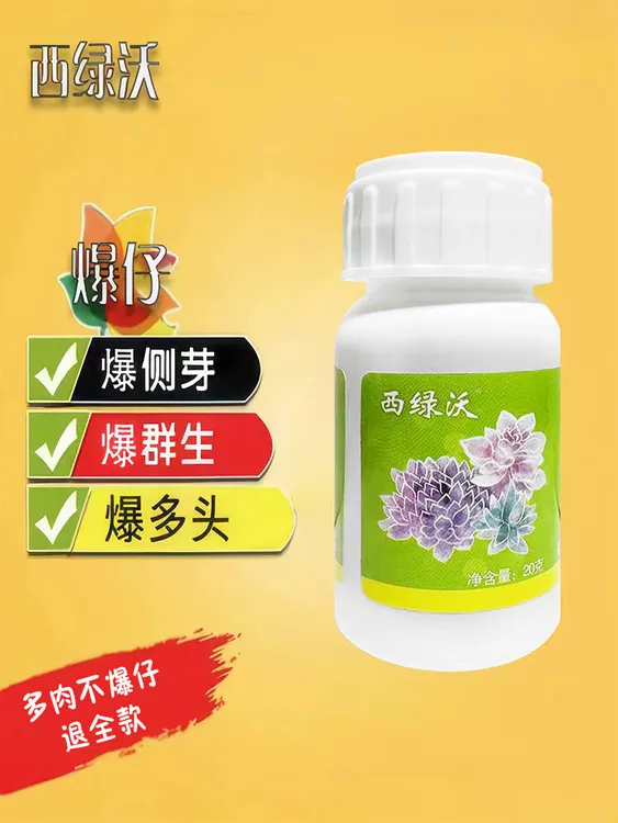 不爆仔!退全款!(西绿沃)崽多多20克多肉植物爆仔促芽催芽专用