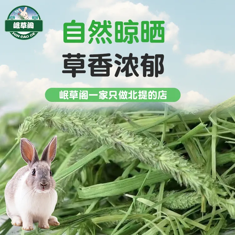 自然晒干提摩西草兔子荷兰猪豚鼠龙猫饲料牧草岷县兔子草