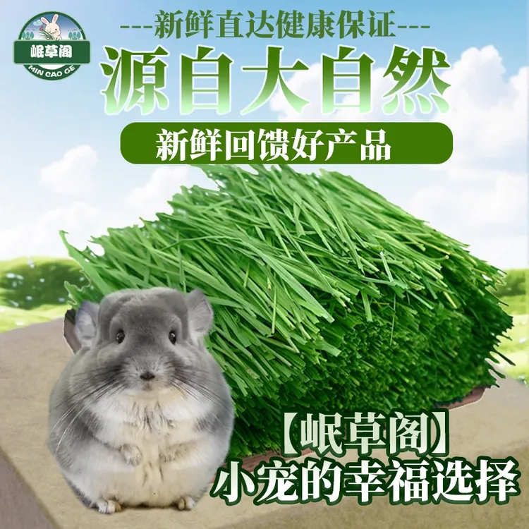 【精致兔妈必备】25年烘干提摩西草北提兔兔荷兰猪龙猫饲料兔粮干草