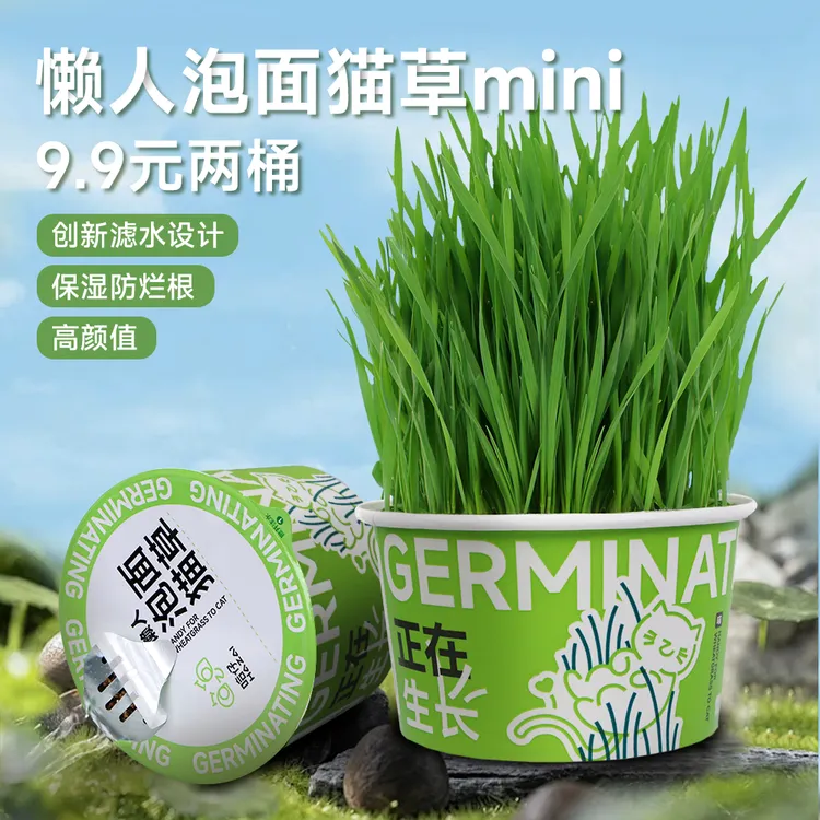 哈仔懒人泡面猫草猫咪排毛化毛球创新滤水设计营养猫零食猫草