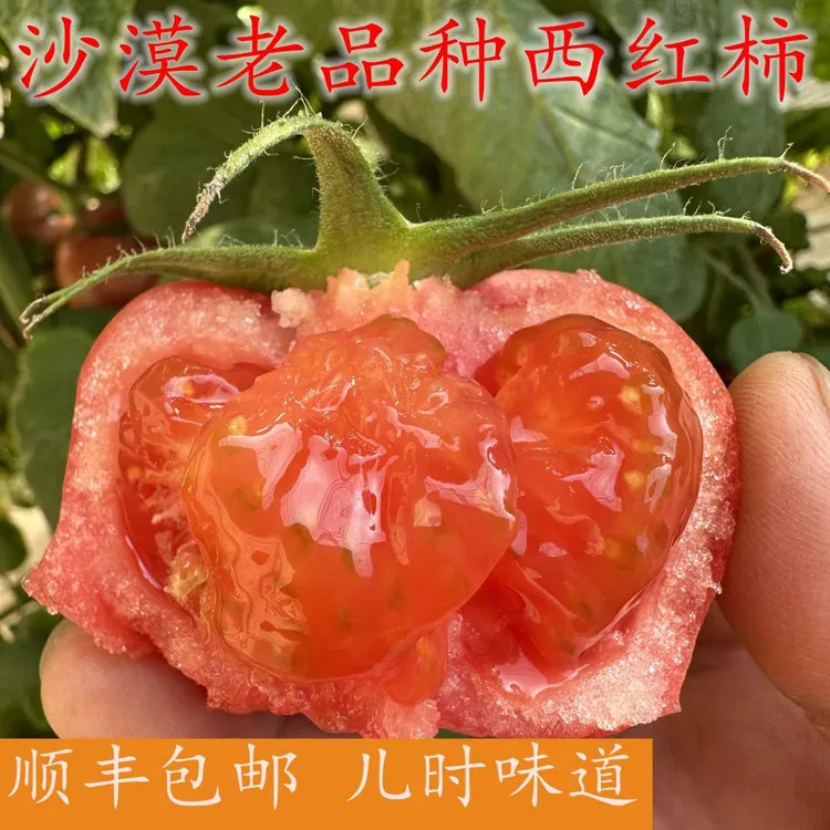 甘肃沙漠老品种自然沙瓤西红柿产品4.5斤包邮【陕西甘肃随机发】