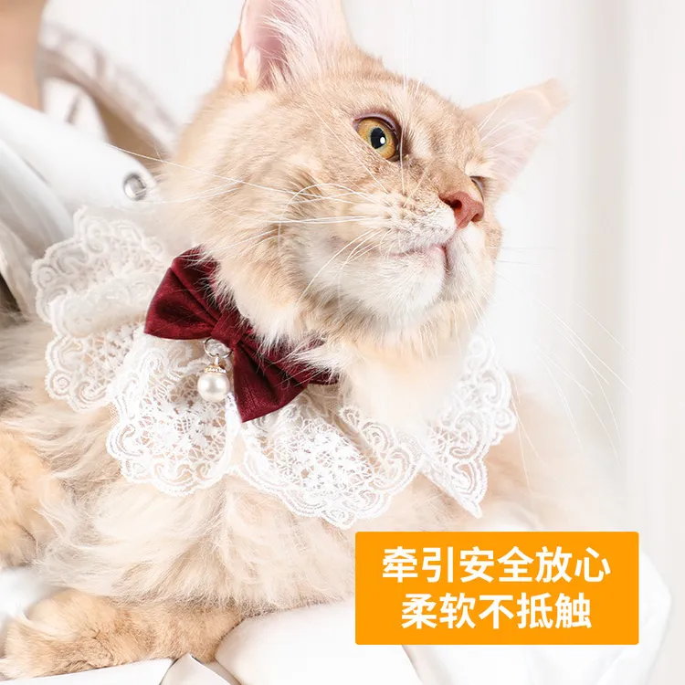 蕾丝围脖项圈猫猫狗狗四季款口水项圈围兜饰品宠物必备物品蝴蝶结