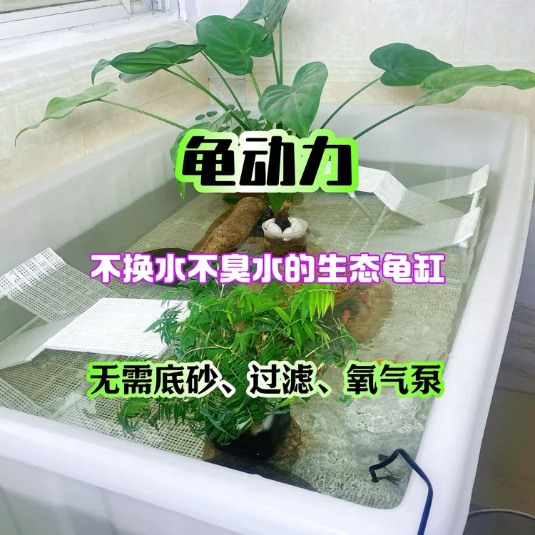 龟动力生态龟缸/高水位活水循环/不换水不臭水/还原湖泊生态