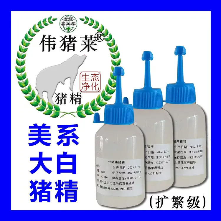 伟猪莱美系大白猪精 扩繁级 高品质 高活力健康猪精