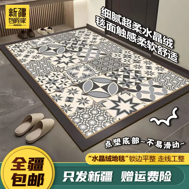 预售新疆包邮到家轻奢水晶绒地毯入户门垫耐脏家用玄关脚垫防滑垫