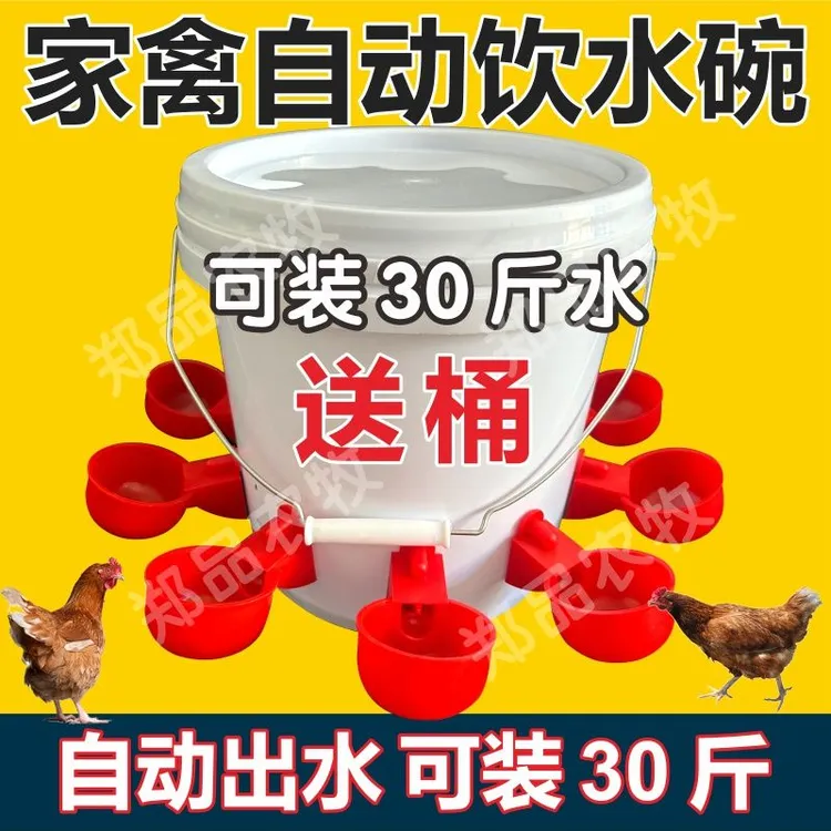 鸡鸭家禽自动饮水碗鸡鸭鹅自动喂水器鹌鹑鸟鸽子饮水器养殖神器