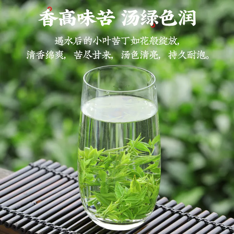 2025【小叶苦丁】高山嫩芽叶冲泡茶香耐泡罐装茶真材实料