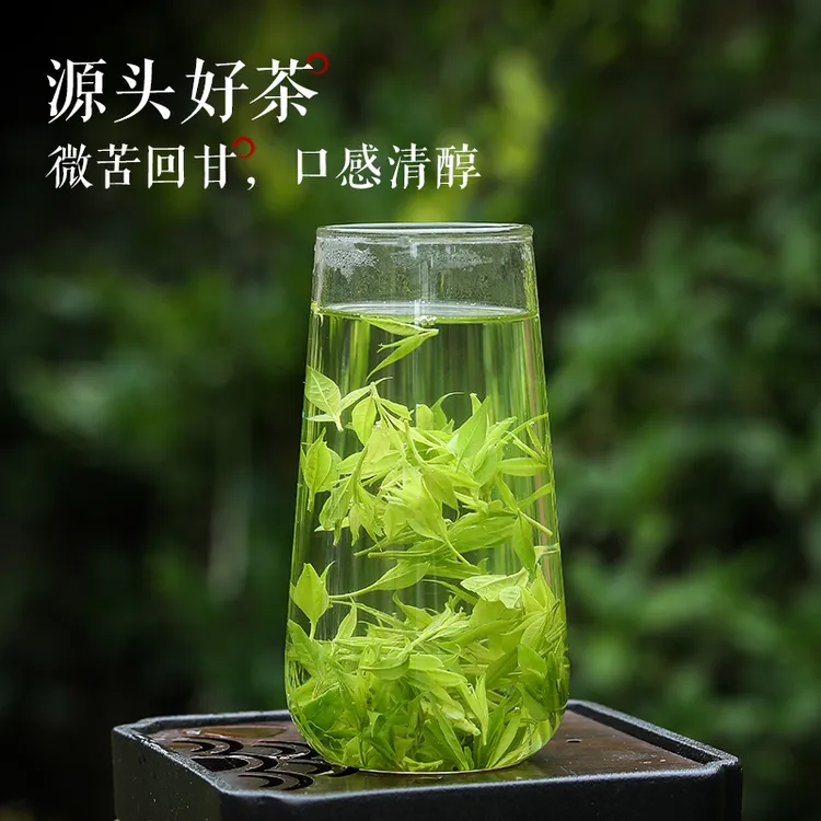 2025冲泡自然小叶苦丁茶持久新茶青山绿水嫩芽叶清香罐装