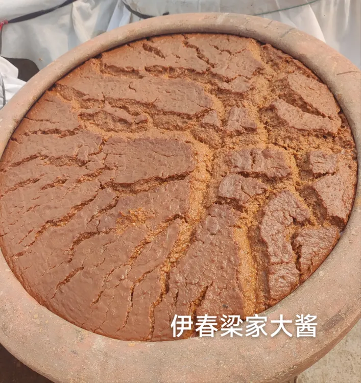 酱引子 新大酱 正在发缸大酱 老式农家大酱（微臭）不发缸用酱引子
