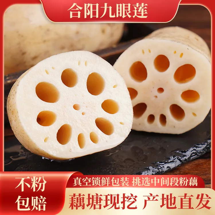 【顺丰包邮】地标美食 合阳九眼莲 煲汤粉面藕 凉拌清脆