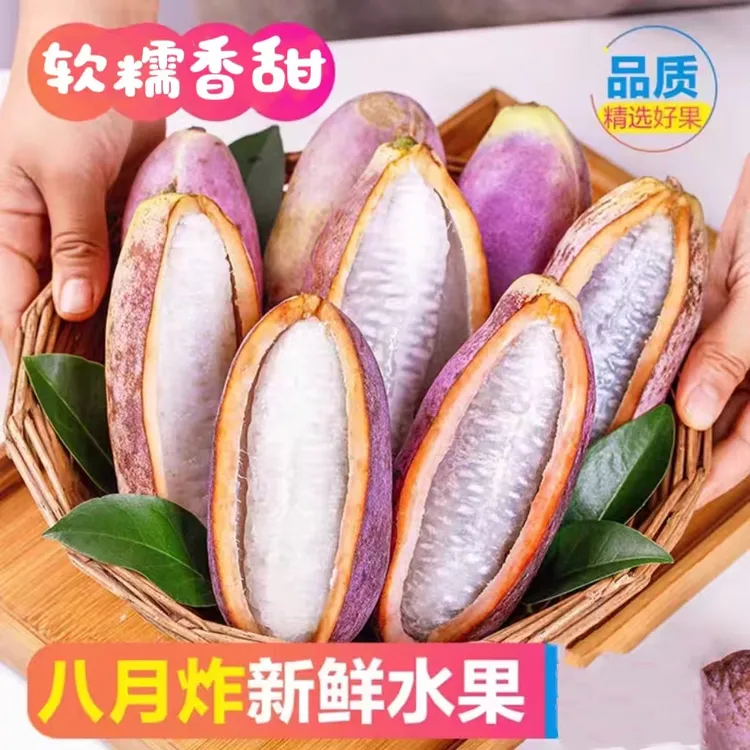 【现摘现发】八月瓜八月炸野香蕉八月瓜水果八月炸水果九月黄水果