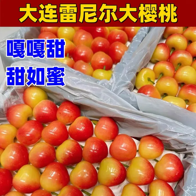大连樱桃新鲜水果雷尼尔黄色大樱桃天然肉厚樱桃红鲜甜多汁产品