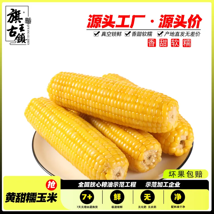 （试吃2根）东北黄糯玉米产地直发12支6斤独立包装