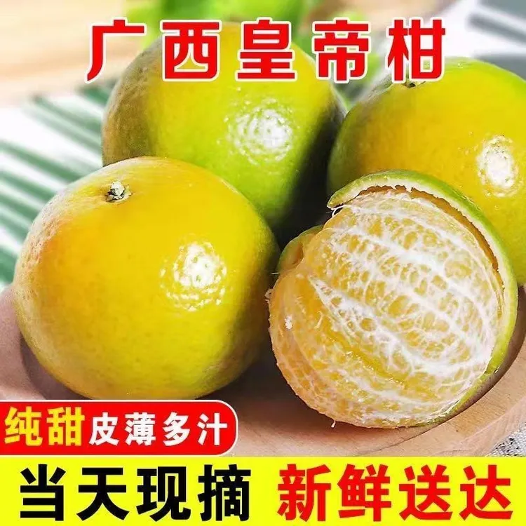 广西武鸣皇帝柑 贡柑 新鲜采摘皮薄肉厚 清甜多汁水分足 整箱发货
