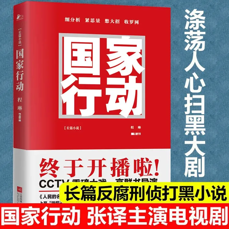 国家行动 程琳著 电视剧原著小说长篇反腐刑侦官场小说现当代文学