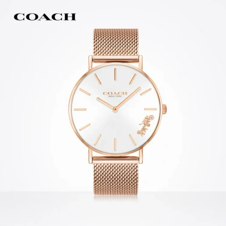 COACH/蔻驰PERRY系列简约米兰编织链日晖纹表盘小金表