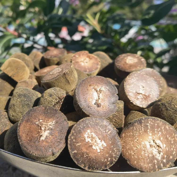 甄选雪花果头【李支书推荐】化州橘红茶核心产地平定镇老树正毛黄龙