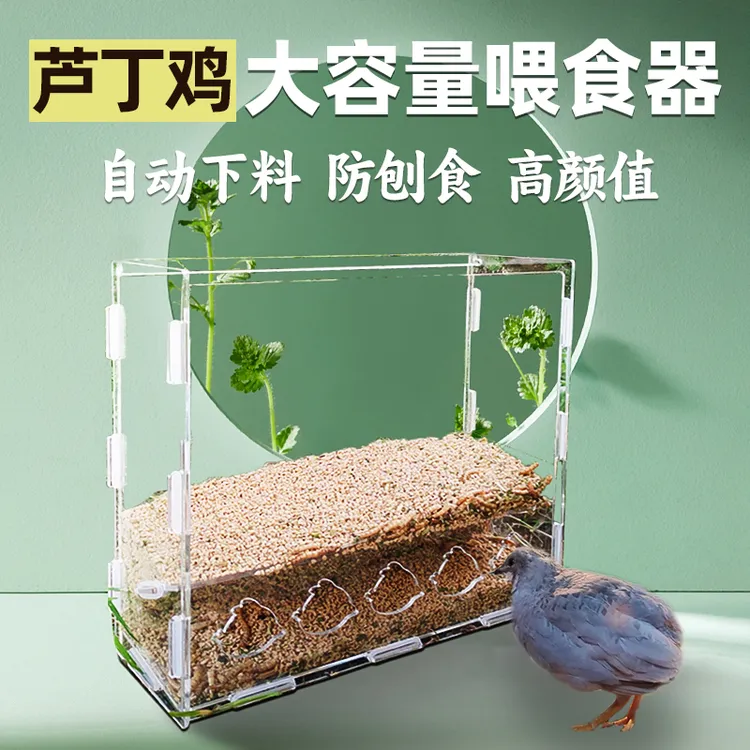 大容量多孔喂食器透明超大饲料盒自动饮水壶下料防刨干净高品质