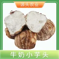 【牛奶小芋头】山东新鲜芋头绵软柔滑3/5斤 S